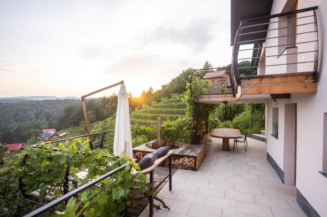 Vineyard Cottage Sonce Sentvid Pri Sticni Luaran gambar