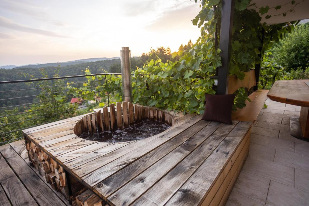 Vineyard Cottage Sonce Sentvid Pri Sticni Luaran gambar